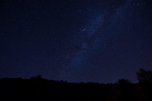 perseid meteor