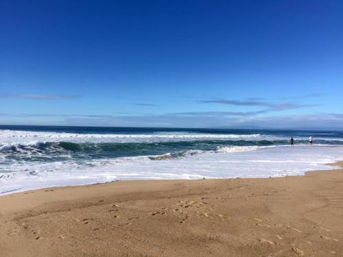 monterey_beaches2